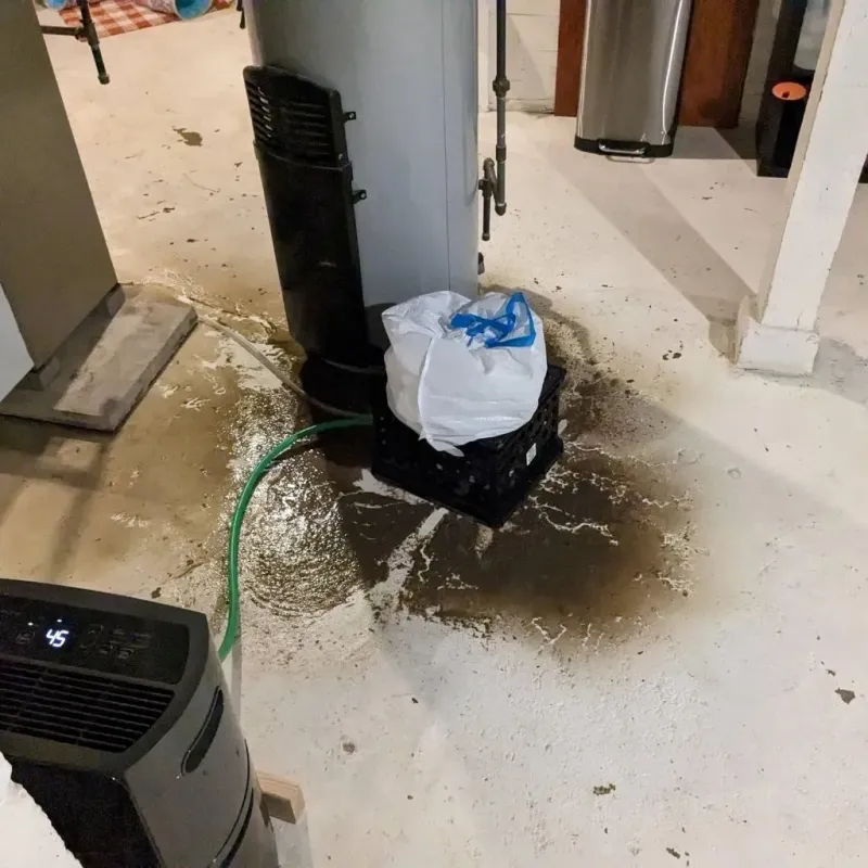 Sewage Backup Cleanup Service in Corcovado, PR